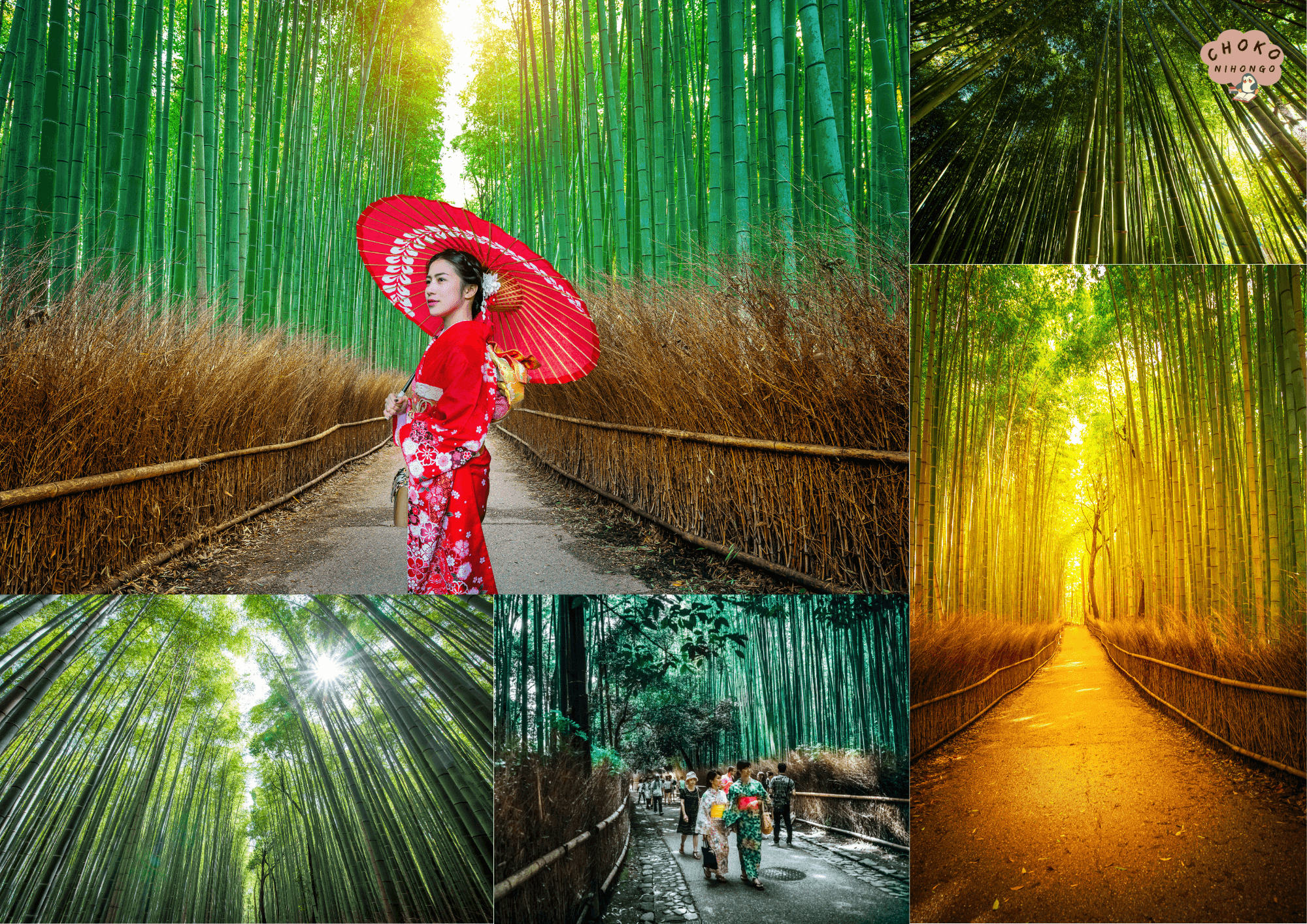 Rừng-trúc-Arashiyama-Kyoto.png